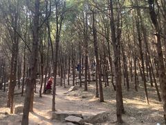 -腊山国家森林公园