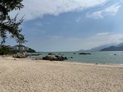 -花海间·即刻露营