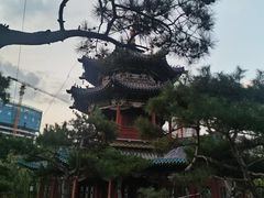-迎泽公园