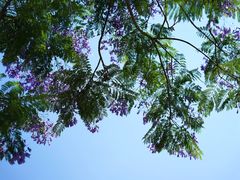 -重庆中央公园(渝北区)