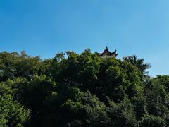 -鸿山公园