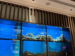 -珍宝海鲜JUMBO Seafood(尚嘉店)