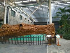 -龙达温泉生态城