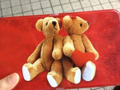 牛轧糖-珍妮曲奇聪明小熊(尖沙咀店)