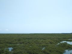 -北海金海湾红树林生态旅游区