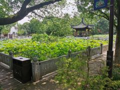 -丝绸小镇荻港古村