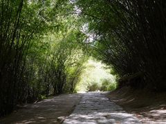 -卡定沟景区