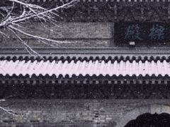 -灵谷景区