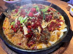 -老板恋上鱼(恒隆广场店)