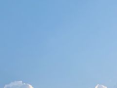 -滇香肴·云南菜蒸汽石锅鱼(云南北路店)