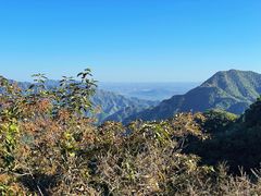 -大岭沟猕猴桃谷风景区