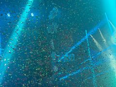 -CLUB OPUS欧贝斯酒吧(合肥店)