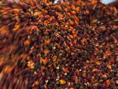 -雷氏板鸭(红照壁南街店)