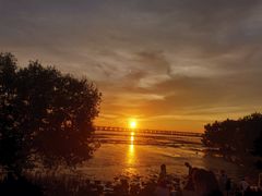 -宝安西湾红树林湿地公园