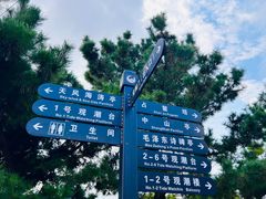 -观潮胜地公园
