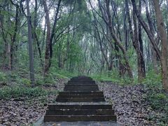 -赭山公园