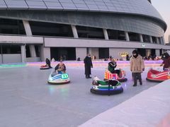 -沈阳奥体冰雪嘉年华