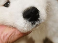-联合动物医院(光谷诊疗中心)