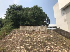 -大埔公路-马料水段香港中文大学(公交站)