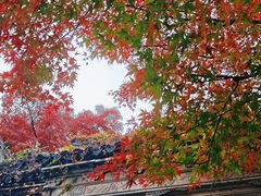 -无锡惠山寺