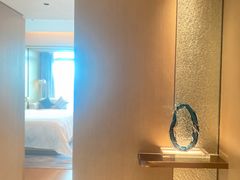 -深圳国际会展中心希尔顿酒店(前海华发冰雪世界店)