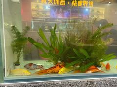 -令狐冲烤鱼·烧菜馆(达明店)