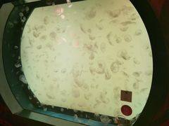 -沈阳海洋探索中心