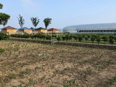 -上海崇明金茂凯悦酒店