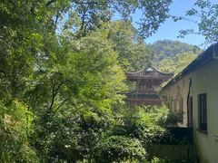 -宋宴(虎跑店)