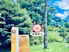 -卧龙中华大熊猫苑神树坪基地