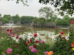 -嬉乐湾休闲旅游区
