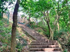 -紫金山山顶公园