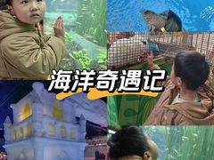 -海合安成都极地海洋公园