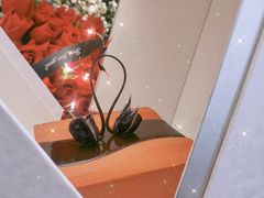 -BLACKSWAN黑天鹅(环球店)