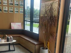 -半岛宠物医院24小时·内窥镜·牙科·碎石中心(府城大道店)