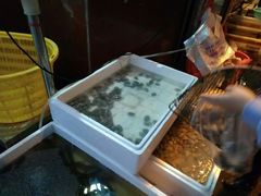 -青石桥市场北1-27号