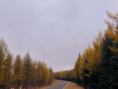 -塞罕坝国家级自然保护区