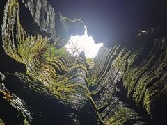 -梭布垭石林景区