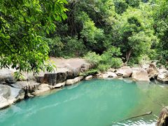 -广州白江湖森林公园