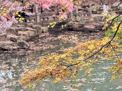 -虞山风景区