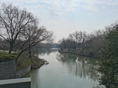 -东园小馆·早茶·淮扬小炒(宋夹城店)