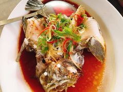清蒸石班-大树下海鲜饭店
