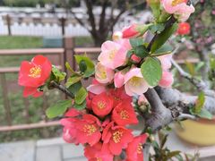 -陶然亭公园