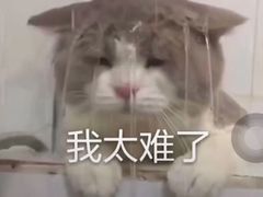 -碧乐城(无锡梁溪店)
