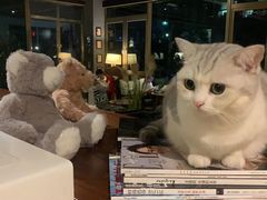 -咖法森林·咖啡  酒吧(天河店)