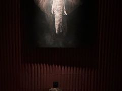 -菩泰·泰式草本按摩SPA(国大城市广场店)