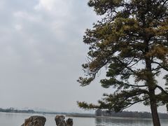 -东湖落雁景区