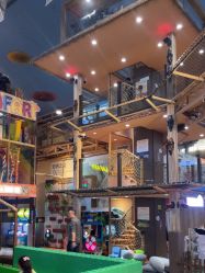 -卡通尼·Safari非洲探索乐园·生日会(金桥国际商业广场店)