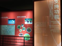 -中国湿地博物馆