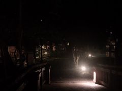 -清迈夜间动物园
